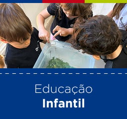 Educação Infantil Educação Infantil